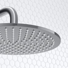 Carson Gooseneck Twin Shower